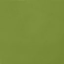 Good Morning cup Ever Green Sprig (set 4)