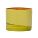 Mug Tazza, Evergreen Sprig