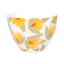 Good Morning Cup Cappuccino/Tea Lilja Daylily (set of 2)