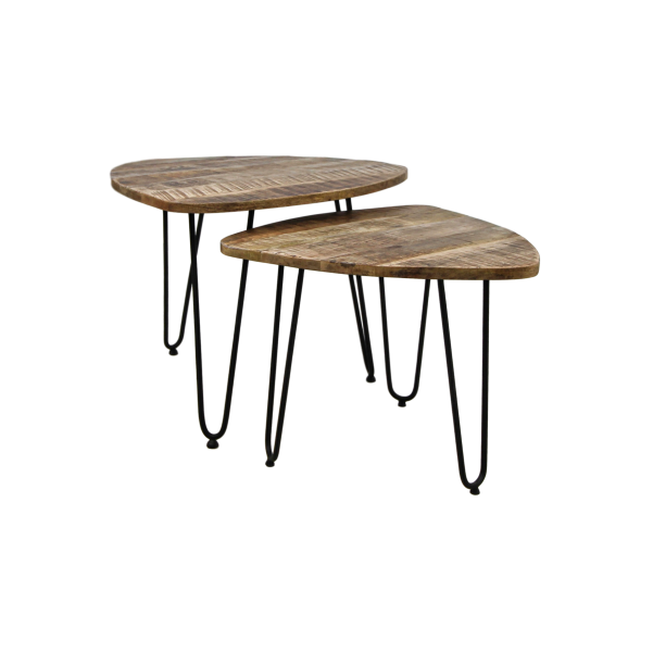 HSM Collection Bijzettafel DEXTER mangohout S/2