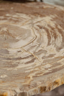 New Khine Petrified Wood Coffee Table Brass Set 3