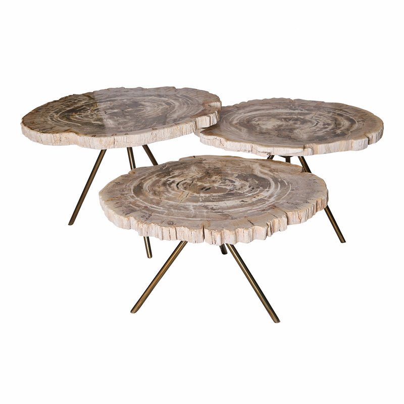 New Khine Petrified Wood Coffee Table Brass Set 3
