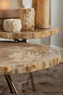 New Khine Petrified Wood Coffee Table Brass Set 3