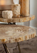 New Khine Petrified Wood Coffee Table Brass Set 3