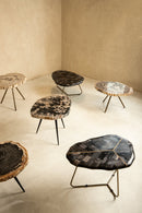 New Khine Petrified Wood Coffee Table Brass Set 3