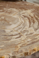 New Khine Petrified Wood Coffee Table Brass Set 3