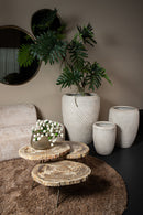 New Khine Petrified Wood Coffee Table Brass Set 3