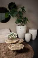 New Khine Petrified Wood Coffee Table Brass Set 3