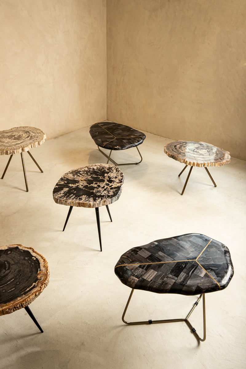 New Khine Petrified Wood Coffee Table Brass Set 3