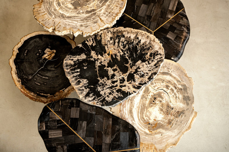 New Khine Petrified Wood Coffee Table Brass Set 3