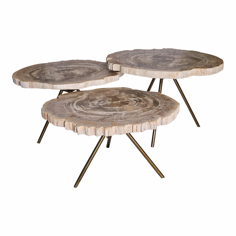 New Khine Petrified Wood Coffee Table Brass Set 3