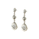 Silver Beetle Drop Earrings