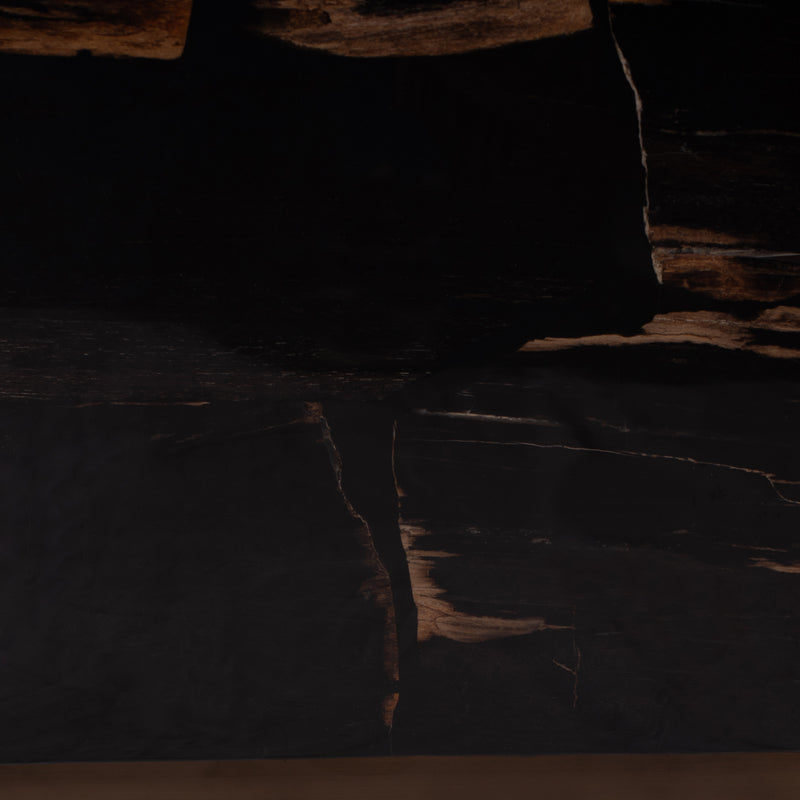 Rayn Petrified Wood Black Coffeetable M