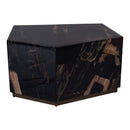 Rayn Petrified Wood Black Coffeetable M