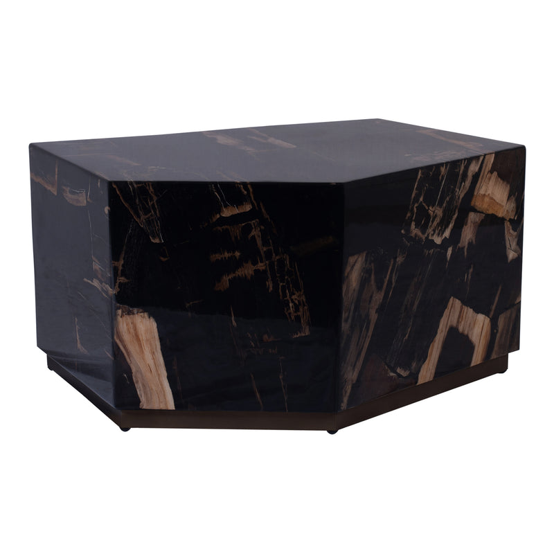 Rayn Petrified Wood Black Coffeetable M