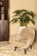 Donny Cream Fauteuil Black Wooden Legs