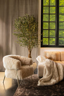 Hair Cream Fauteuil Champagne Metal Base