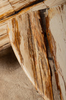 Deeba Coffeetable Petrified Wood 95