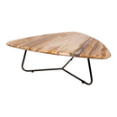 Deeba Coffeetable Petrified Wood 95