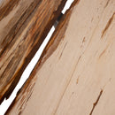 Deeba Coffeetable Petrified Wood 95