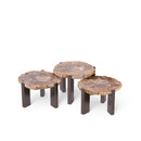 Rudi Natural Petrified Wood Coffeetable Nickel Set 3