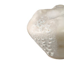 Dangelo Cream Ceramic Irregular Vase XL