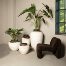 Oslo Fauteuil Teddy Coffee