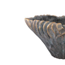 Vakas Grey Cement Oval Wavy Vase W Gold Border
