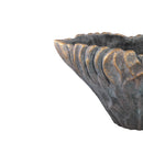 Vakas Grey Cement Oval Wavy Vase W Gold Border XL