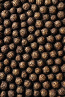 Wandornament GEN brons L