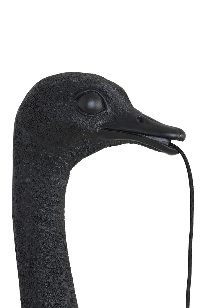 Wandlamp Ostrich Zwart