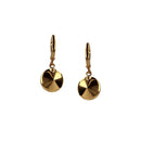 Blossom Grey Earhangers