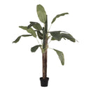 Colmore by Diga Palmtree groen 180 cm