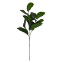 Deco tak Calathea groen