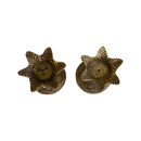 Peper & Zout - ananas